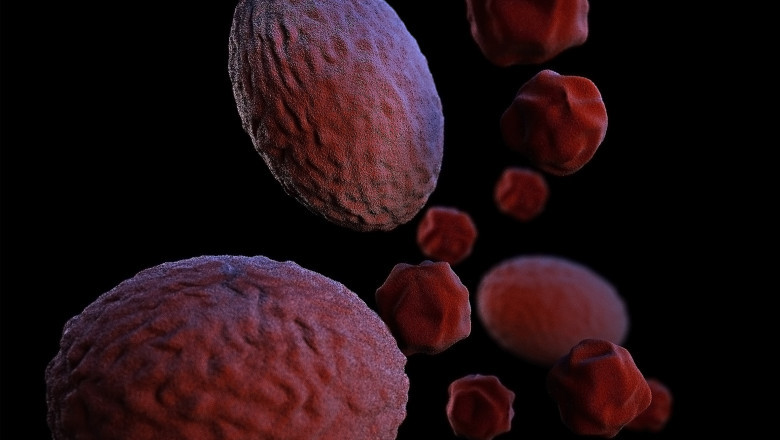 Chlamydia Infection Treatment Market Study 2022, Emerging Trends, Competitive Landscape, Key Players, CAGR Status and Forecast till 2028