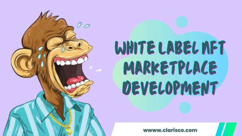 How Developing A White-Label NFT Marketplace Is Profitable?