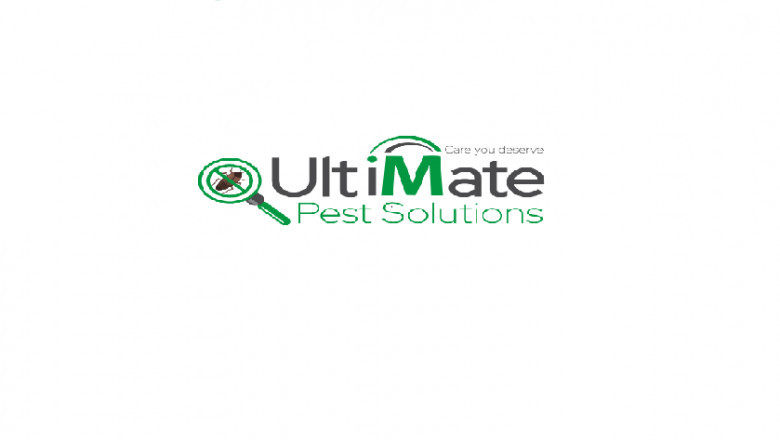 New and Effective Ways for Pest Control in Brampton