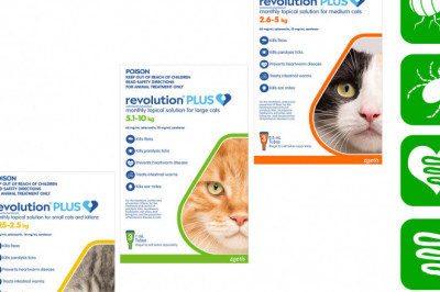 Revolution Plus for Cats 3 pack Flea Heartworm Worm Prevention