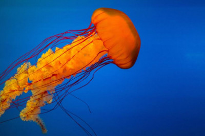 16 mustfollow facebook pages for personalised gifts for mum from daughter marketers