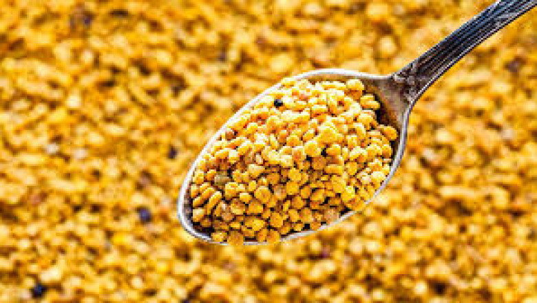 Bee Pollen Market | Global Opportunity, Growth Analysis And Outlook Report upto 2027