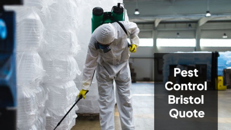 Doing it yourself pest exterminator Bristol services