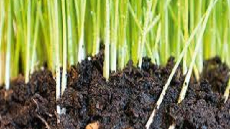 Global Crop Nutrient Management Market Report, Latest Trends, Industry Opportunity & Forecast to 2028