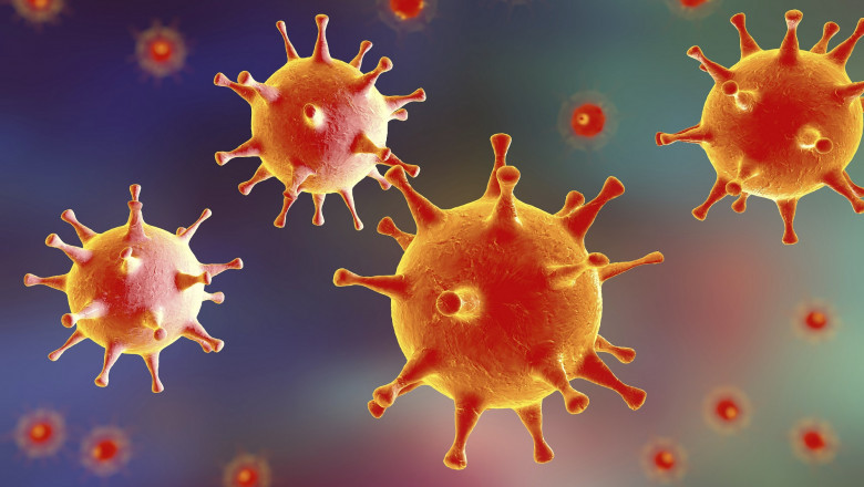 Herpes Simplex Virus (HSV) Vaccines Market Geographical Analysis