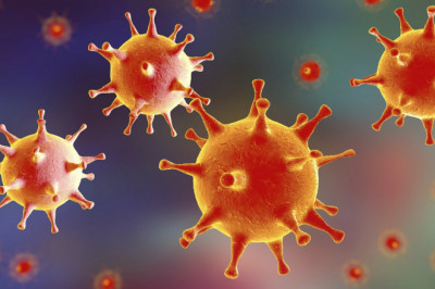 Herpes Simplex Virus (HSV) Vaccines Market Geographical Analysis