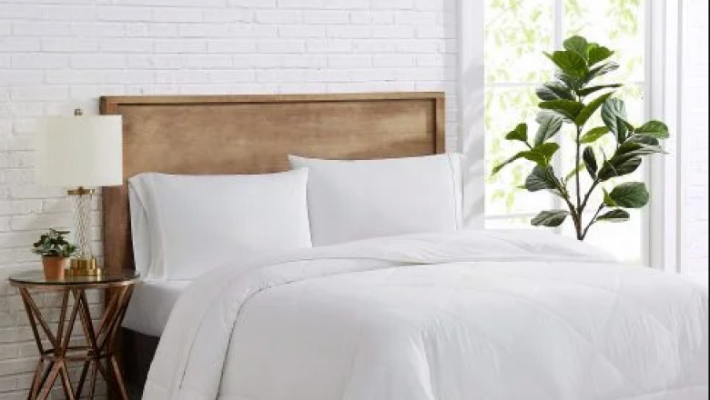 How To Choose The Best Dog Bed For Your Pets