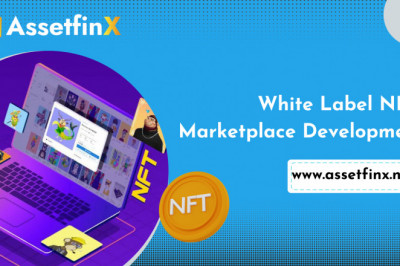 How to create a lucrative White labelNft marketplace: