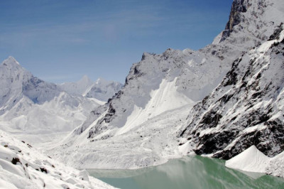 keeping doggy healthy is grooming suitable