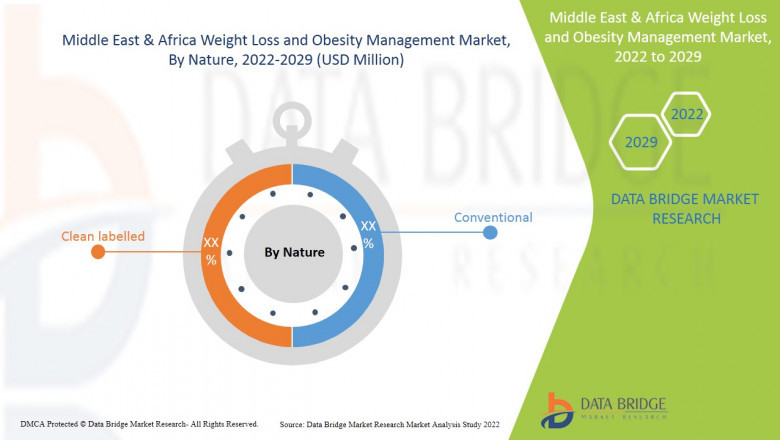 Middle East and Africa Weight Loss and Obesity Management Market Size & Growth | Analysis & Forecast