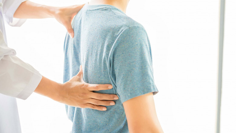 Physiotherapy for back pain and low back pain