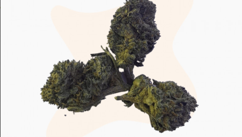 The Future of CBD Is Here - Learn How to Use CBD to Recover From Illness and Get Back to Your Life!