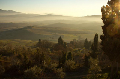 zl lsth wldbbt whmmt lsbh fy lryd