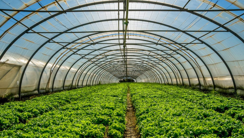 Asia-Pacific Indoor Farming Market Outlook, 2027 Is Anticipated To Grow At A CAGR Of More Than 16.50% In Value Terms In The Forecast Period.