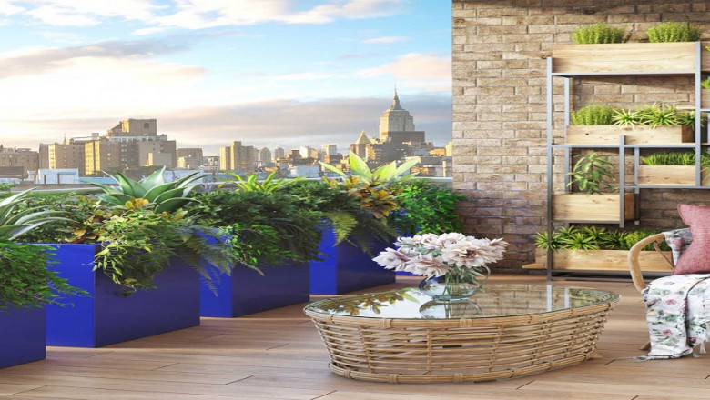 Four Things We All Wish We Knew Before Making the Switch from Fake Decorative Plants to Live Ones!