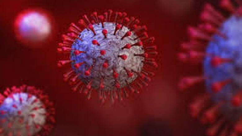 IL-6 Inhibitors Market 2022 Size, Key Players & Forecast Report to 2028