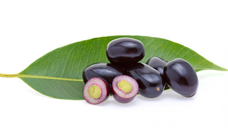 Jamun Seeds: Benefits And Diabetes Management