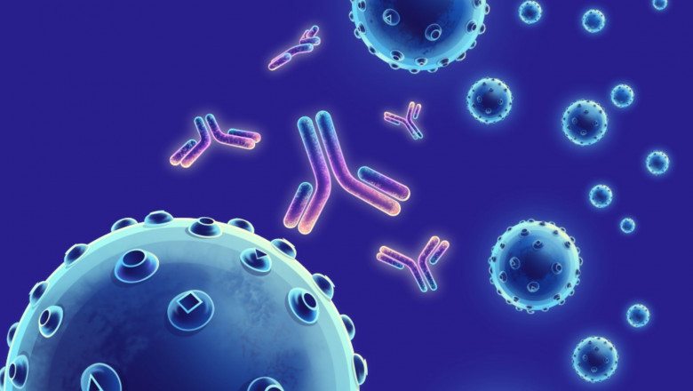 What are the Conditions Treated by Antibodies?