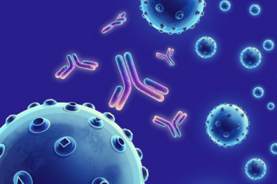 What are the Conditions Treated by Antibodies?