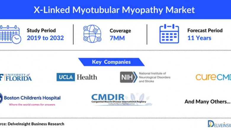 What would be the X-Linked Myotubular Myopathy market outlook across the 7MM during the study period (2019-2032)?