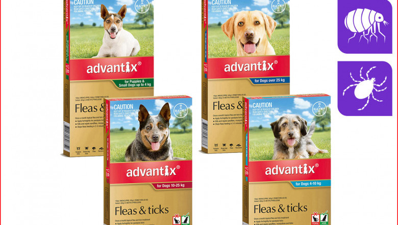 ADVANTIX for Dogs 6 Pipettes Flea and Tick Prevention