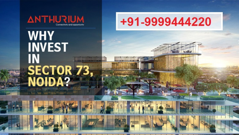 Anthurium Resale, Anthurium Retail Shops, Anthurium Sector 73 Noida