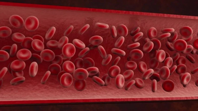 Arq E Mundi - Herbal Medicine For Blood Cleaner?