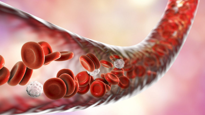 Blood Purify - Herbal Medicine For Blood?