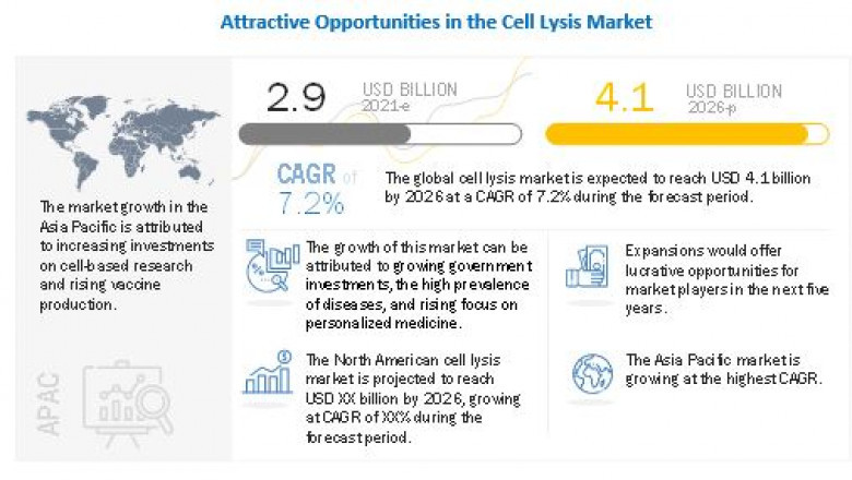 Cell Lysis Market Size, Trends and Forecast to 2026