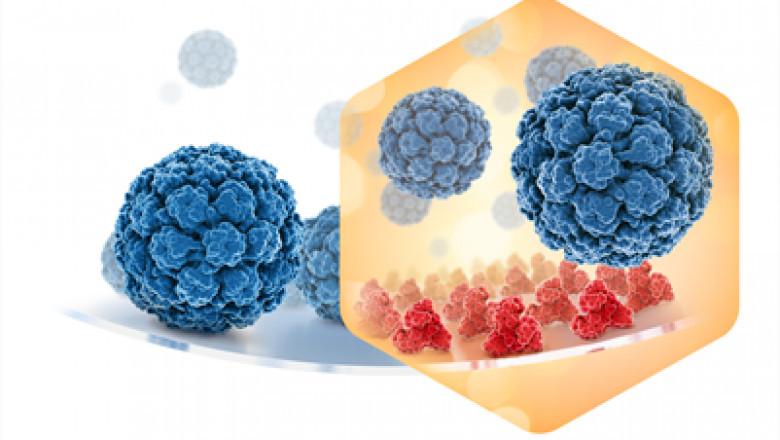 Global Recombinant Human Serum Albumin Market to Experience Significant Growth by 2030