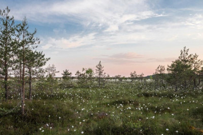 th best lawyers cape town personal injury lawyers law firm