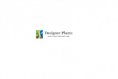 Designer Plants USA - Leaders in Fake Greenery