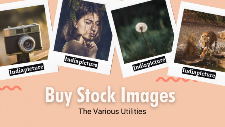 How to Choose the Right License for Business Stock Images