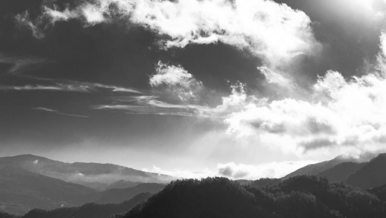 illinois fake id know the risks