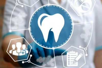 Important Reports That Your Dental SEO Company Must Provide