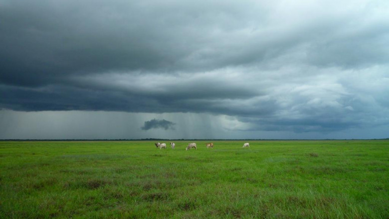 the complete guide to getting a michigan fake id