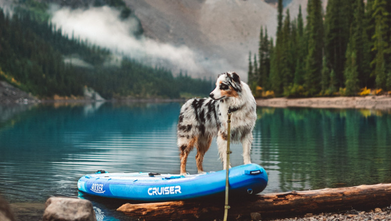 3 Epic Paddle Boarding Destinations to Kick Off Fall in Style