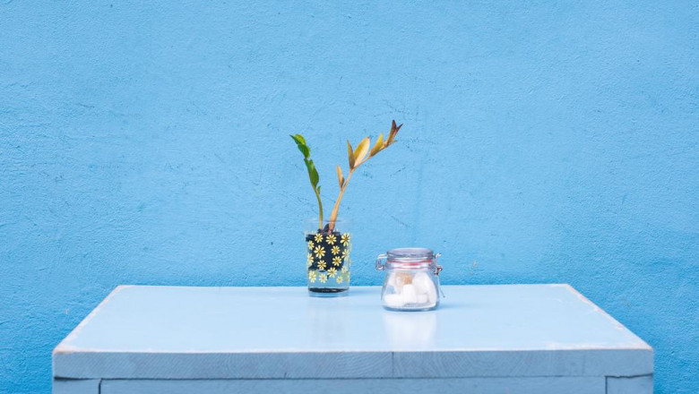 an introduction to bravo yogurt starter