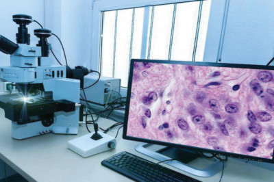 Digital Pathology Recognize That This Is Not Always As Simple As It Appears