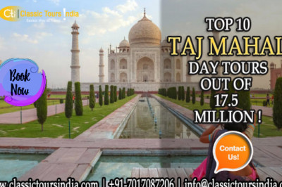Everything You Need to Know about Taj Mahal from Delhi by Private Car