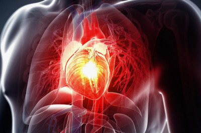 Global Acute Heart Failure (AHF) Therapeutics Market Competitive Landscape