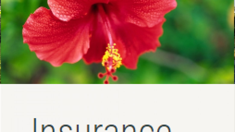 How YeeCorp Financial can help you get the best life insurance rates in Big Island, Hawaii
