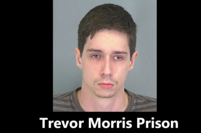 Trevor Morris: Who is he?