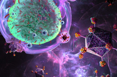 Global Italy Peptide Receptor Radionuclide Therapy (PRRT) Market Restraints