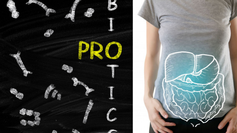 Megasporebiotic Probiotic