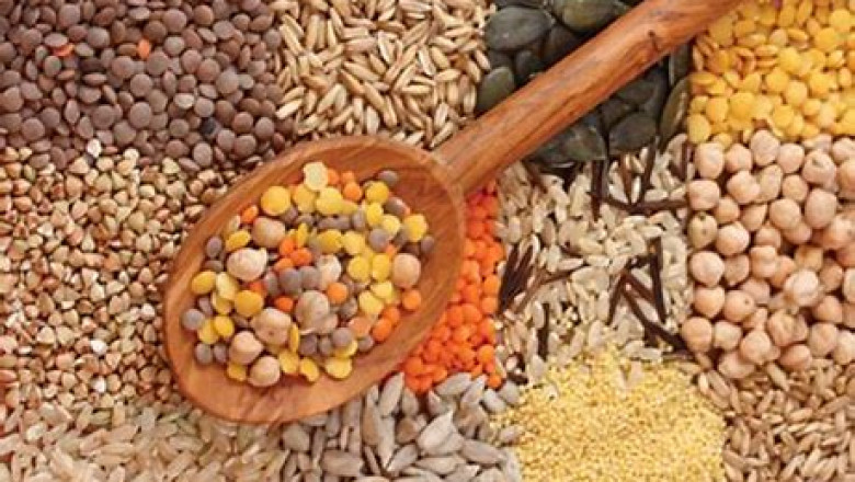 Non Starch Polysaccharides Market Report Till 2028 | Latest Trends, Growth & Forecast