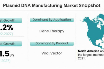 Plasmid DNA Manufacturing Market is Expected to Register a Considerable Growth by 2027