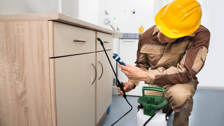 A Home Insecticide is a Product That Can Be Applied to the Skin, Clothes, and Other Surfaces to Kill or Repel Insects