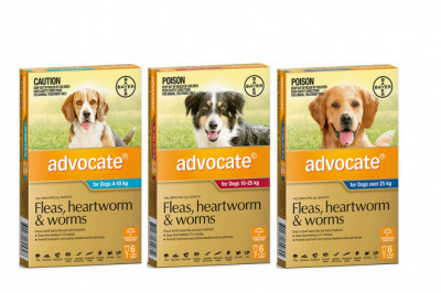 ADVOCATE Heartworm Flea Worm Prevention for Dogs 6 Doses