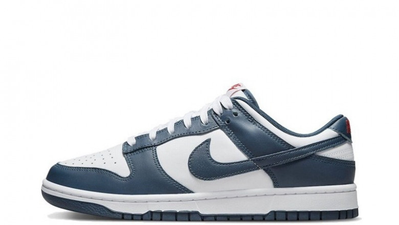 Nike Dunks On Sale the silhouette